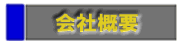 ЊTv